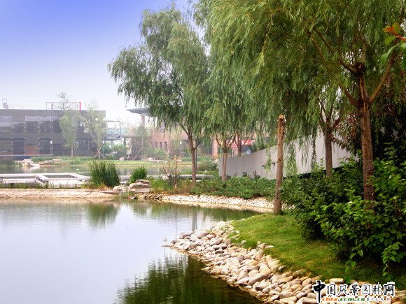 龍灣別墅商業(yè)街景觀工程5#樓遠景