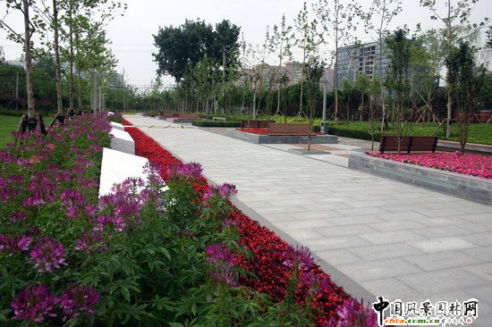 2008社會(huì)優(yōu)質(zhì)工程之五棵松文化體育中心外側(cè)代征地景觀