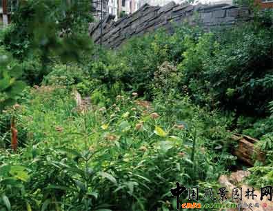 2009ASLA綜合設(shè)計(jì)類榮譽(yù)獎(jiǎng)：淚珠公園
