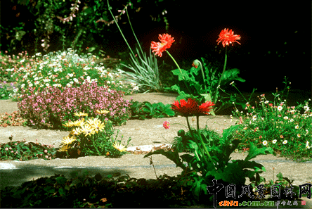 2009ASLA居住區(qū)設(shè)計類榮譽獎：裂縫花園