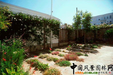 2009ASLA居住區(qū)設(shè)計類榮譽獎：裂縫花園