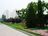 2009年北京市精品園林工程之安立路、北辰西路
