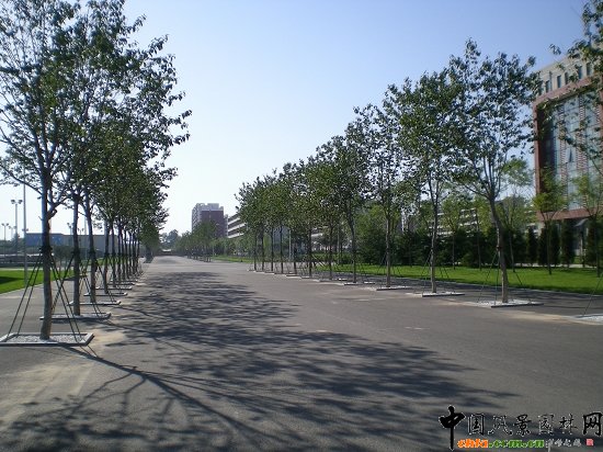 次級(jí)道路兩側(cè)