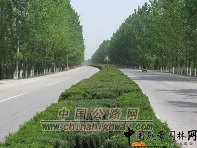 徐州：“四個理念”打造低碳生態公路