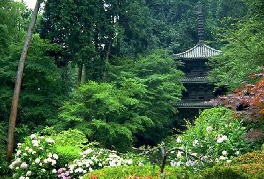 日本 景觀 庭院 設(shè)計 中國風(fēng)景園林網(wǎng)