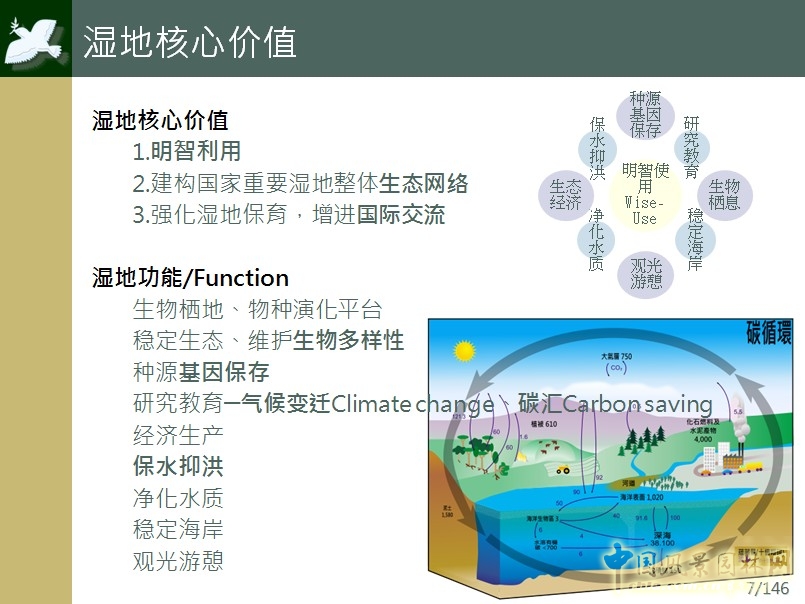 方偉達(dá)教授演講