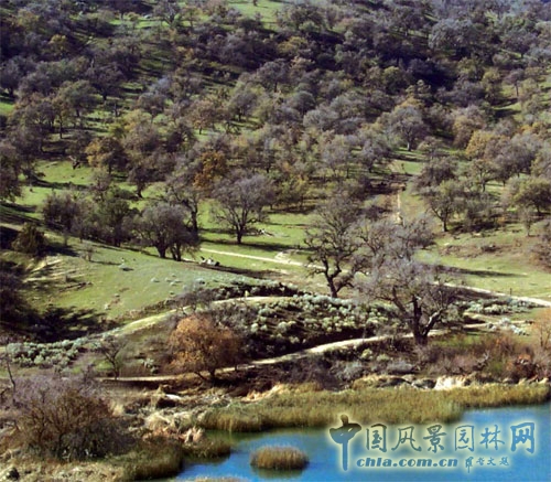 美國規(guī)劃景觀設(shè)計理念及全過程
