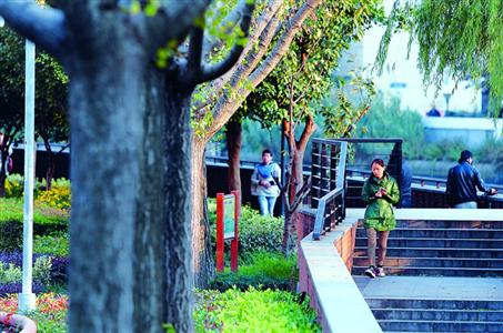 公園、綠地、景點將"連點成線" 滬打造城市綠道慢行系統(tǒng)