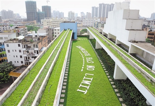 華強路小學教學樓頂上的空中綠地。