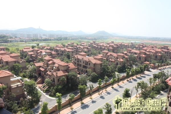 2015住宅景觀獎(jiǎng)：洞庭湖國際公館一期別墅景觀綠化