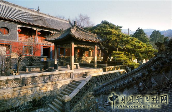孟兆禎：共學(xué)園冶 傳承創(chuàng)新