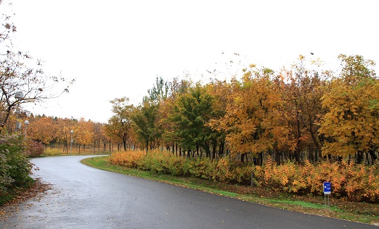 奧林匹克森林公園四標(biāo)段景觀設(shè)計
