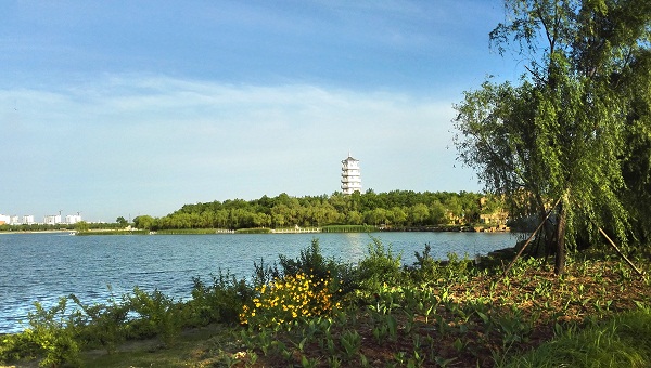 山東東營(yíng)市民豐湖景觀提升規(guī)劃及一期改造