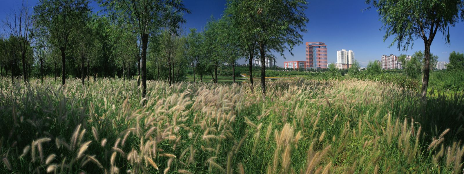 北京昌平新城萬(wàn)畝濱河森林公園規(guī)劃設(shè)計(jì)