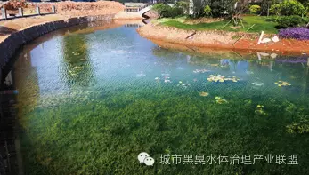 有圖有真相 水環(huán)境生態(tài)修復技術方案