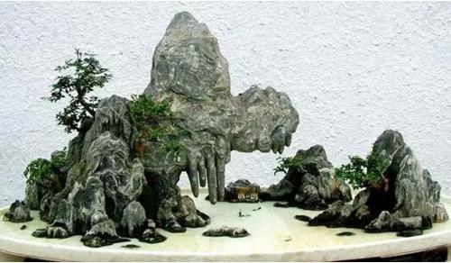 盆景七大類，你都知道嗎？