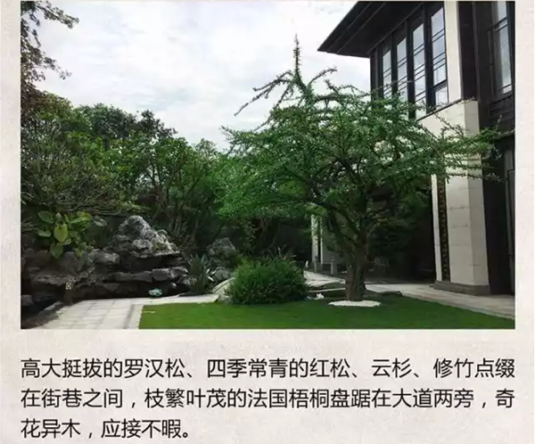【棕櫚工程】泰禾廈門院子：中式美學(xué)的詩意空間
