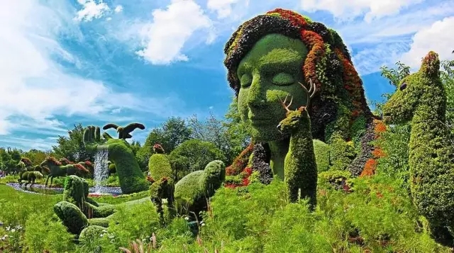 如何讓植物成為兒童活動(dòng)場(chǎng)地的主角？