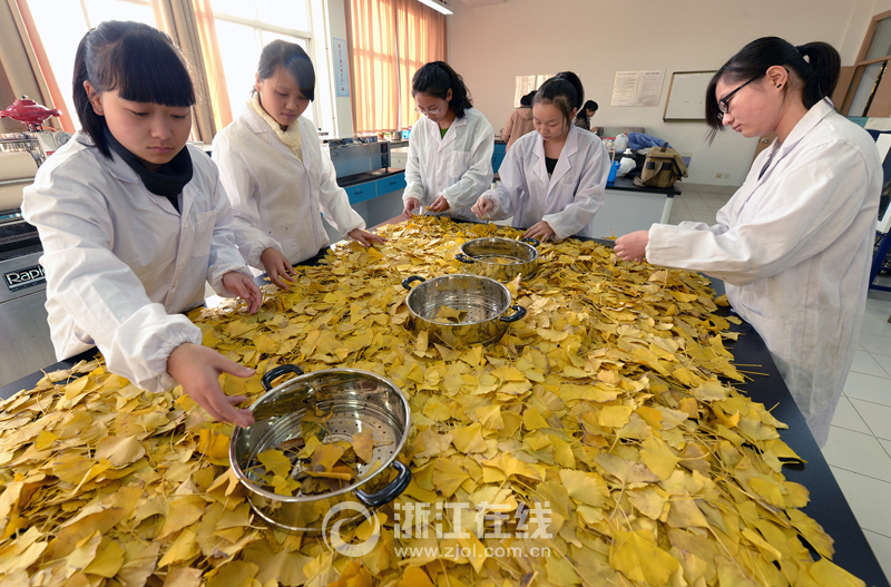 浙紡院一研究成果獲國家10項(xiàng)專利 純天然植物染料服裝受青睞
