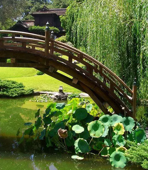 園林鑒賞：日本庭院中的美學(xué)禪意