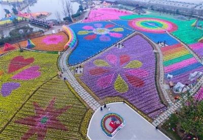 花卉種植園變身風(fēng)車海洋 