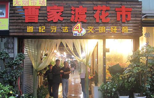 花木行情：上?；ㄊ小靶《碧攸c鮮明