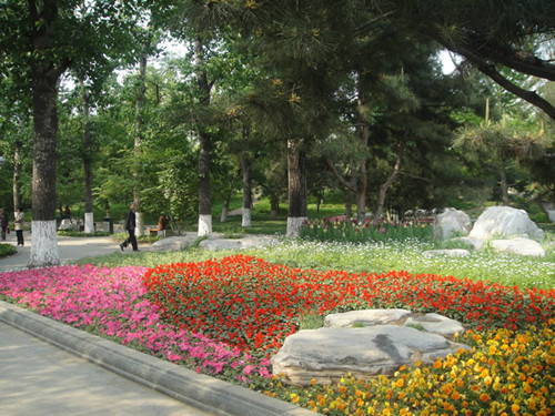 4月10日北京精品園林考察，火熱招募中！