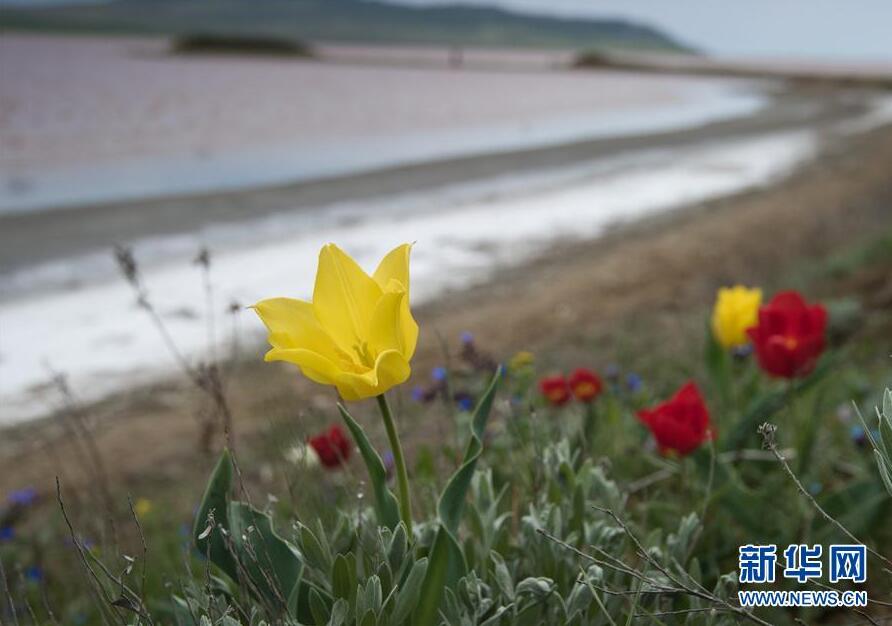 克里米亞奧普克斯基自然保護區(qū)自然風(fēng)光