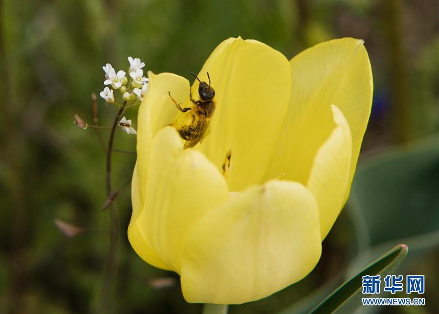 克里米亞奧普克斯基自然保護區(qū)自然風(fēng)光