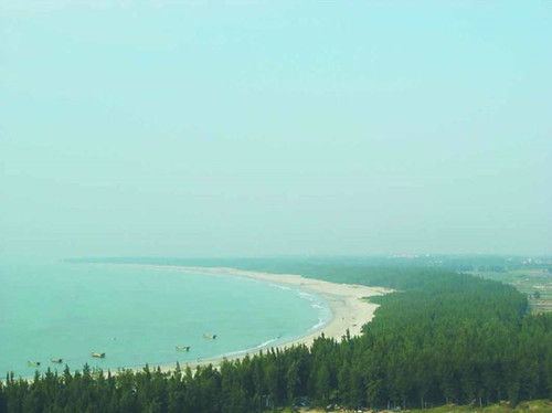 兩部委印發(fā)全國(guó)沿海防護(hù)林建設(shè)工程規(guī)劃