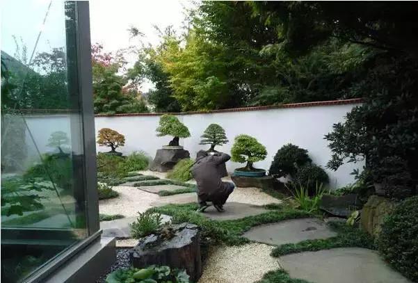 盆景——從園林中走出來(lái)的造型藝術(shù)