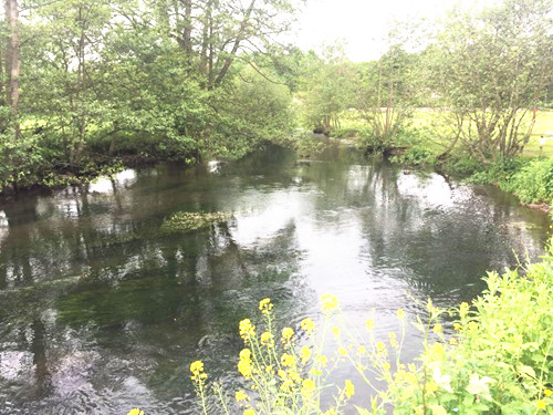 2017英國(guó)景觀專業(yè)考察Day8：峰區(qū)國(guó)家公園