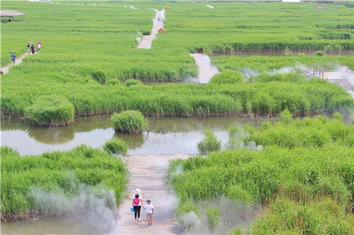 鳥(niǎo)類(lèi)天堂——河北唐山曹妃甸濕地
