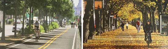 街道設(shè)計(jì)可以讓生活更健康