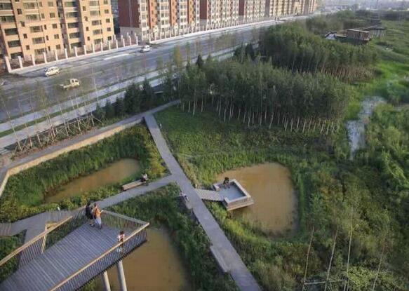 國(guó)內(nèi)雨水花園實(shí)踐：黑龍江群力雨水花園