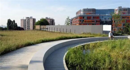 雨水花園在海綿城市建設(shè)中的意義