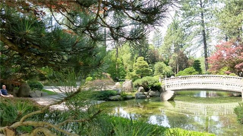 日本園林，小小庭院，源于自然，匠心獨運