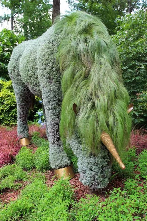 植物雕塑的城市景觀你見(jiàn)過(guò)嗎？