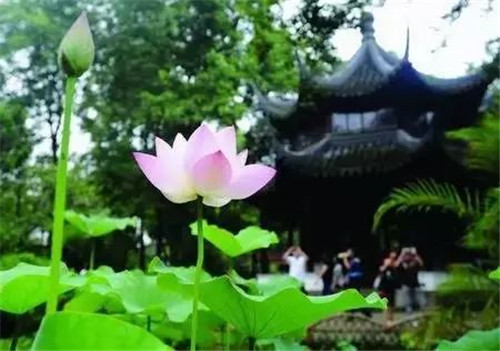中國(guó)古典園林的造園“三境”