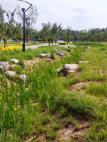 園冶杯專業(yè)獎(jiǎng)：固安迎賓大道街角北、南公園