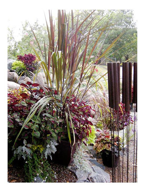 美國(guó)明尼蘇達(dá)耐陰花園設(shè)計(jì)