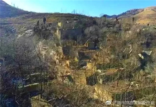 濟(jì)南章丘這個古村落里竟藏著顆千年古樹