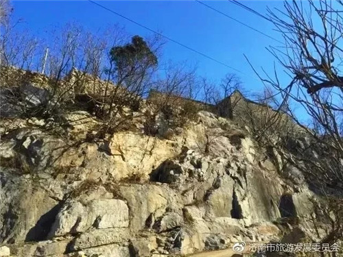 濟(jì)南章丘這個古村落里竟藏著顆千年古樹