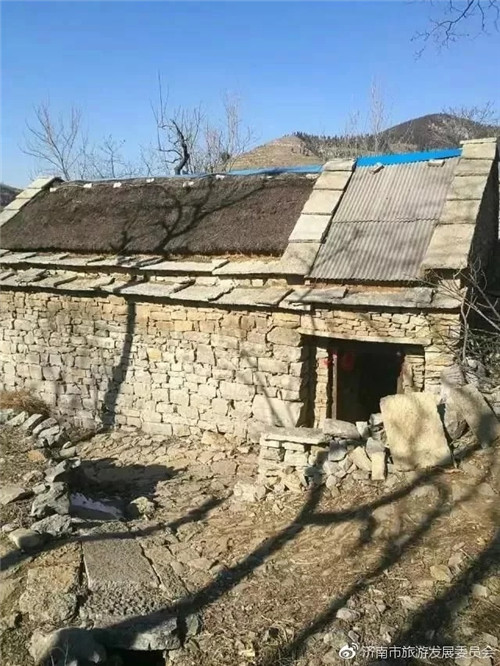 濟(jì)南章丘這個古村落里竟藏著顆千年古樹