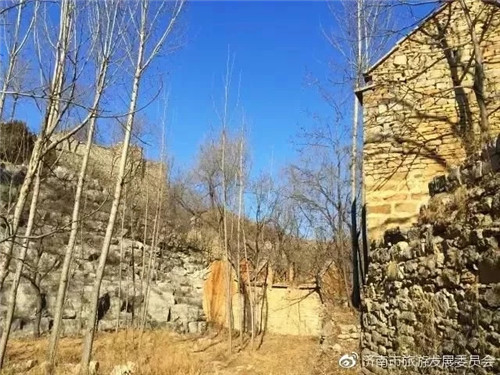 濟(jì)南章丘這個古村落里竟藏著顆千年古樹