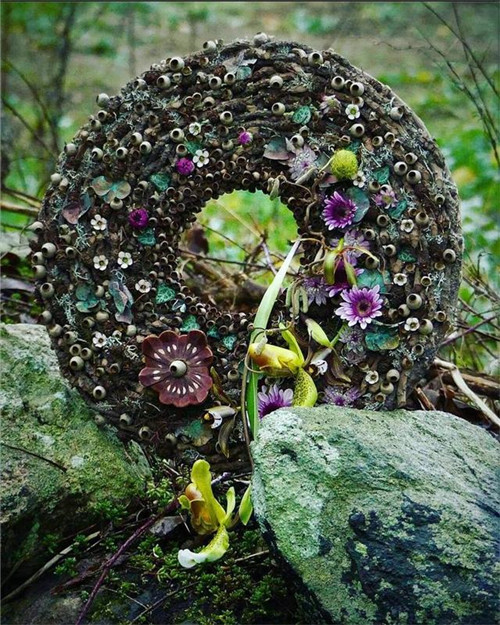 花藝的魅力：花環(huán)設計