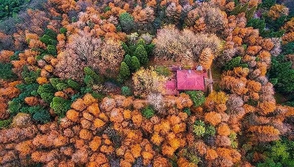 評論：從莫干山民宿發(fā)展看中國旅游投資問題