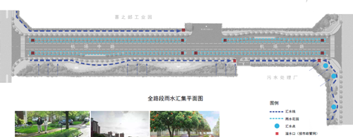 劉怡：城市雙修中“見(jiàn)縫插針”式的生態(tài)修復(fù)