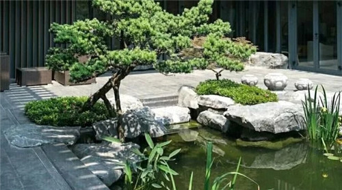 庭院設(shè)計水景有什么優(yōu)點？