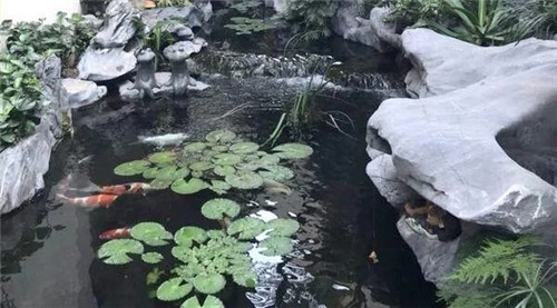 庭院設(shè)計水景有什么優(yōu)點？